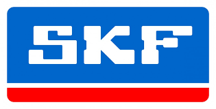 SKF CUSCINETTI